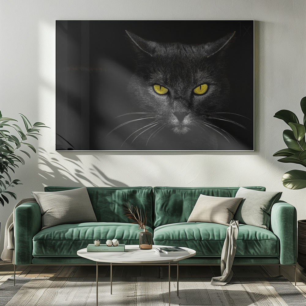 Schwarze Katze | Leinwand