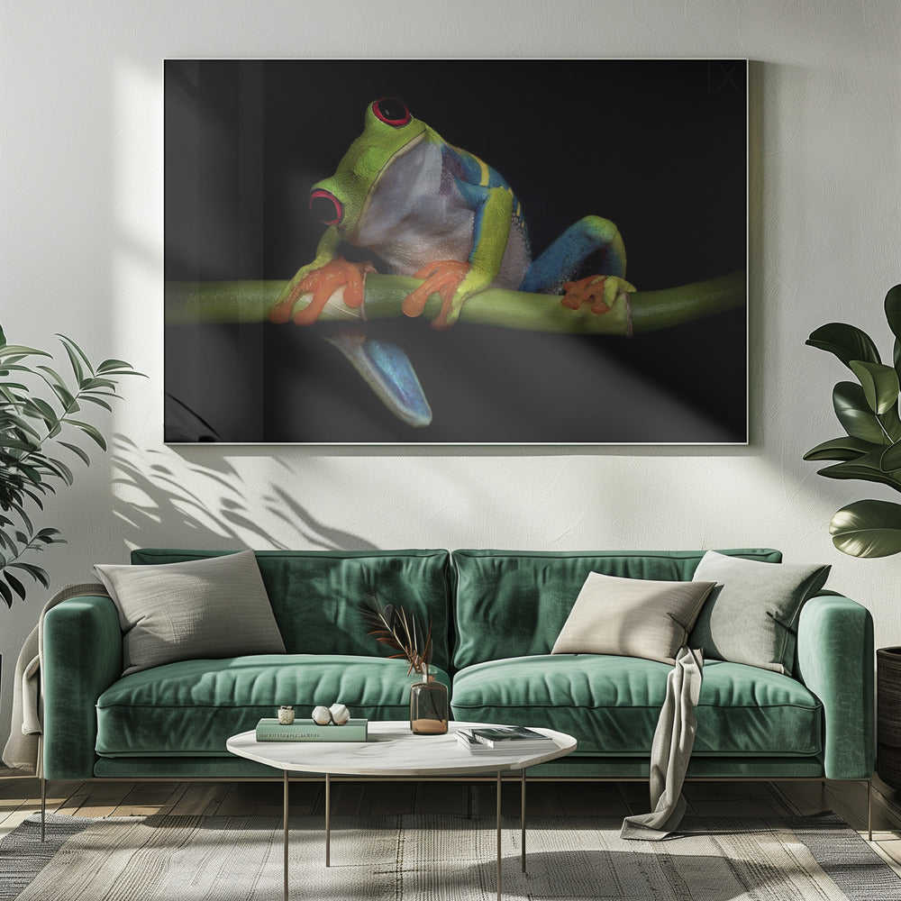 Curiosity | Canvas