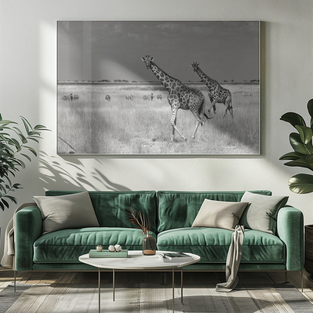 Tourists Spend | Canvas