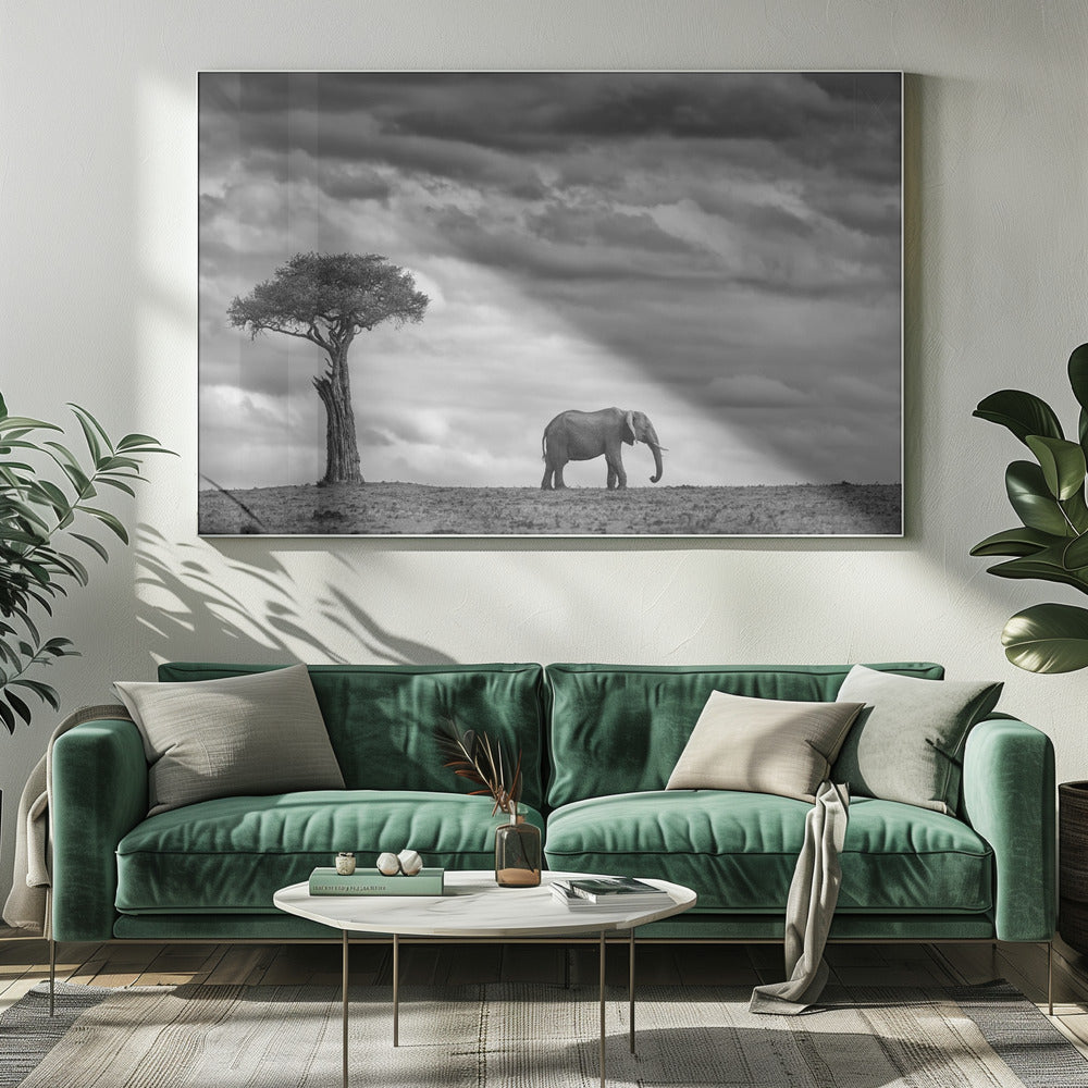 Elefantenlandschaft | Leinwand