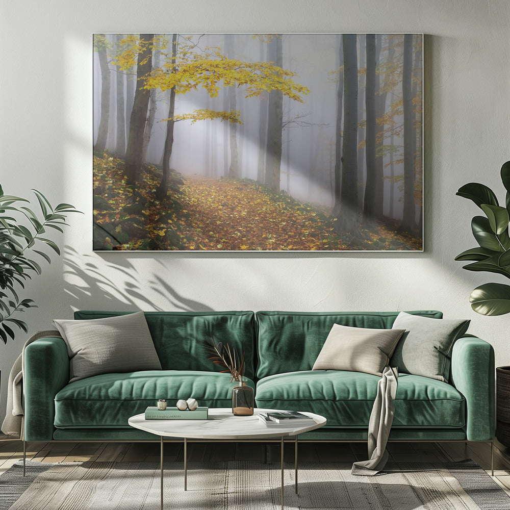 Ohne Titel | Leinwand