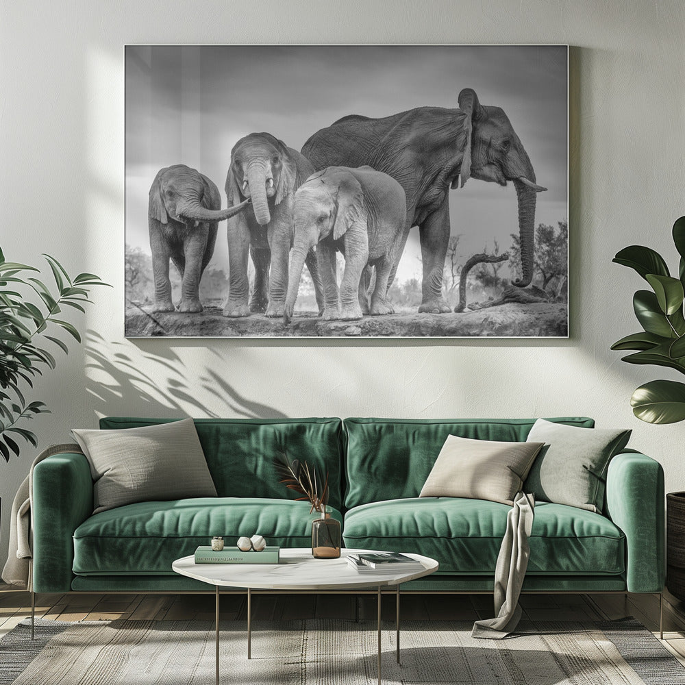 A Giant Unity | Canvas