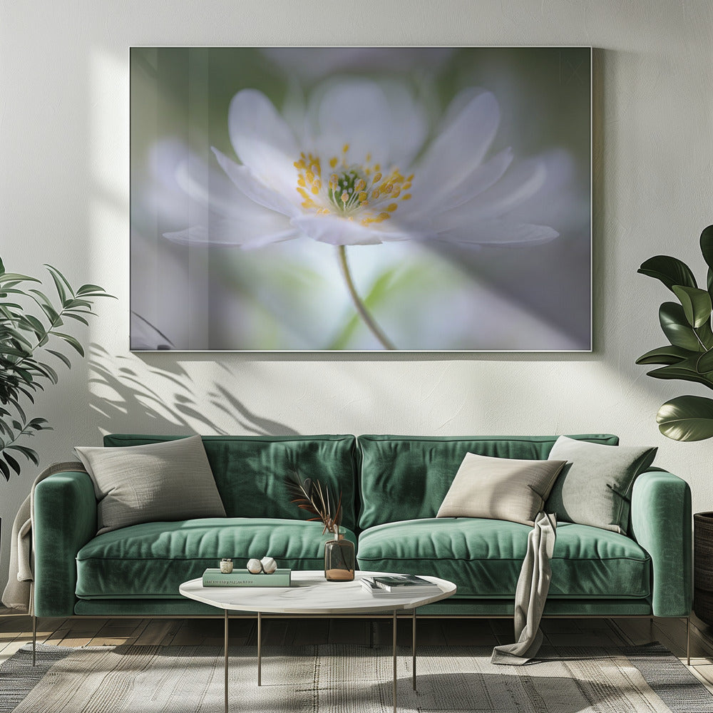 Nemorosa Nirvana | Leinwand