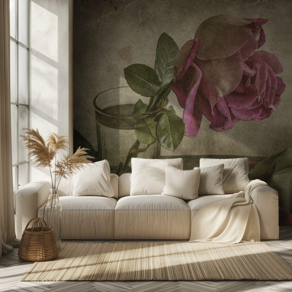 Träne der Rose | Tapete