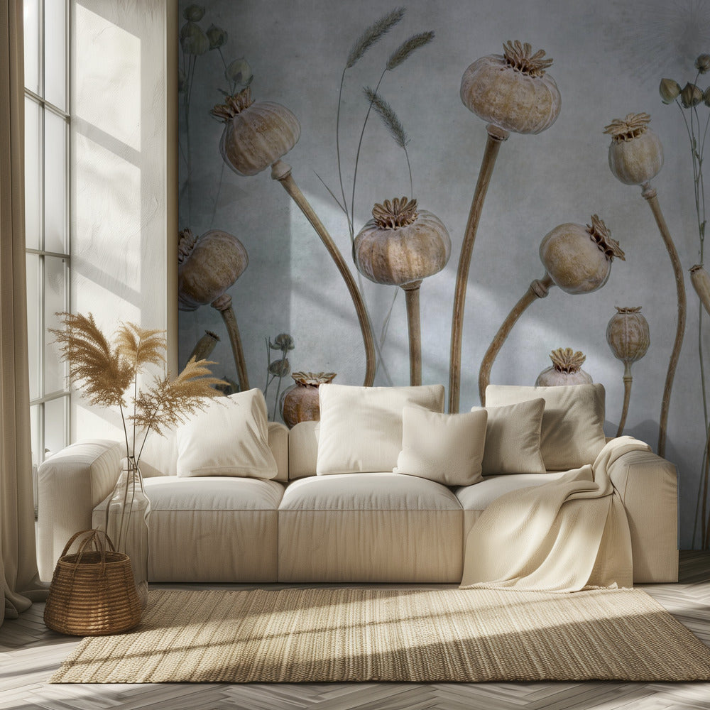 Papaver | Tapete