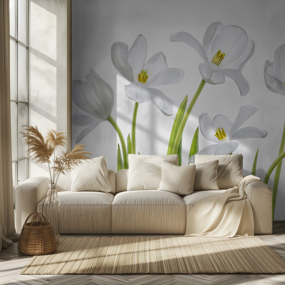Weiße Tulpen | Tapete