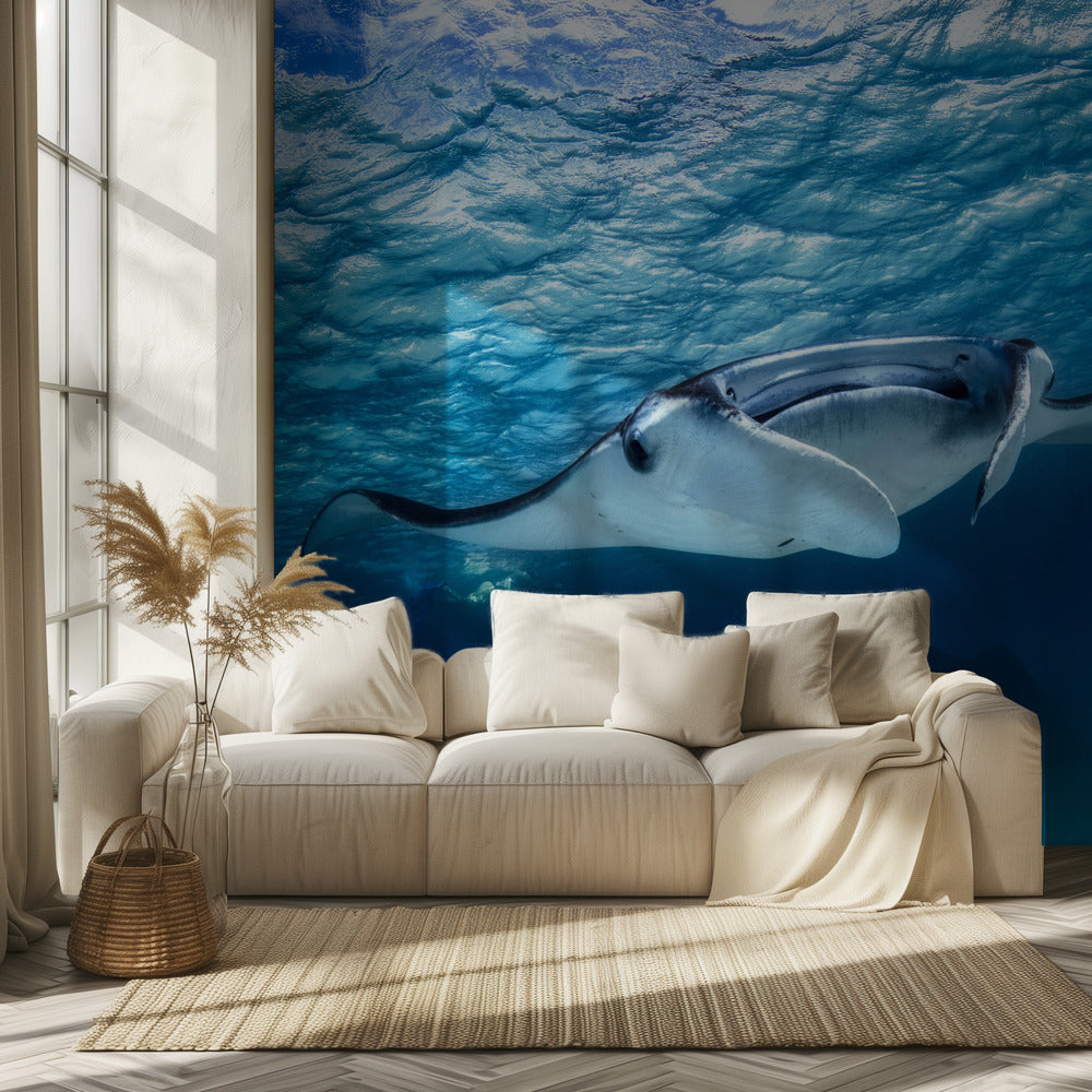 Mantarochen | Tapete