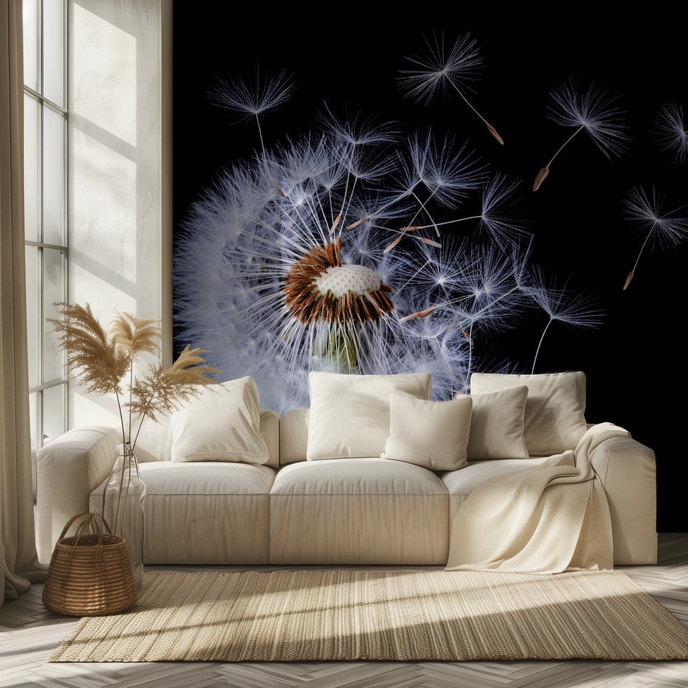 Pusteblume | Tapete