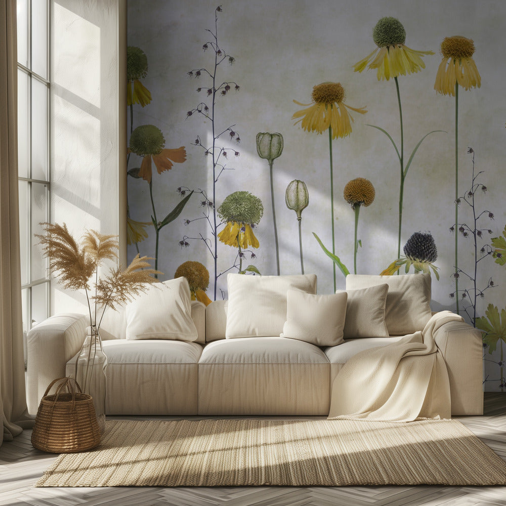 Helenium | Tapete