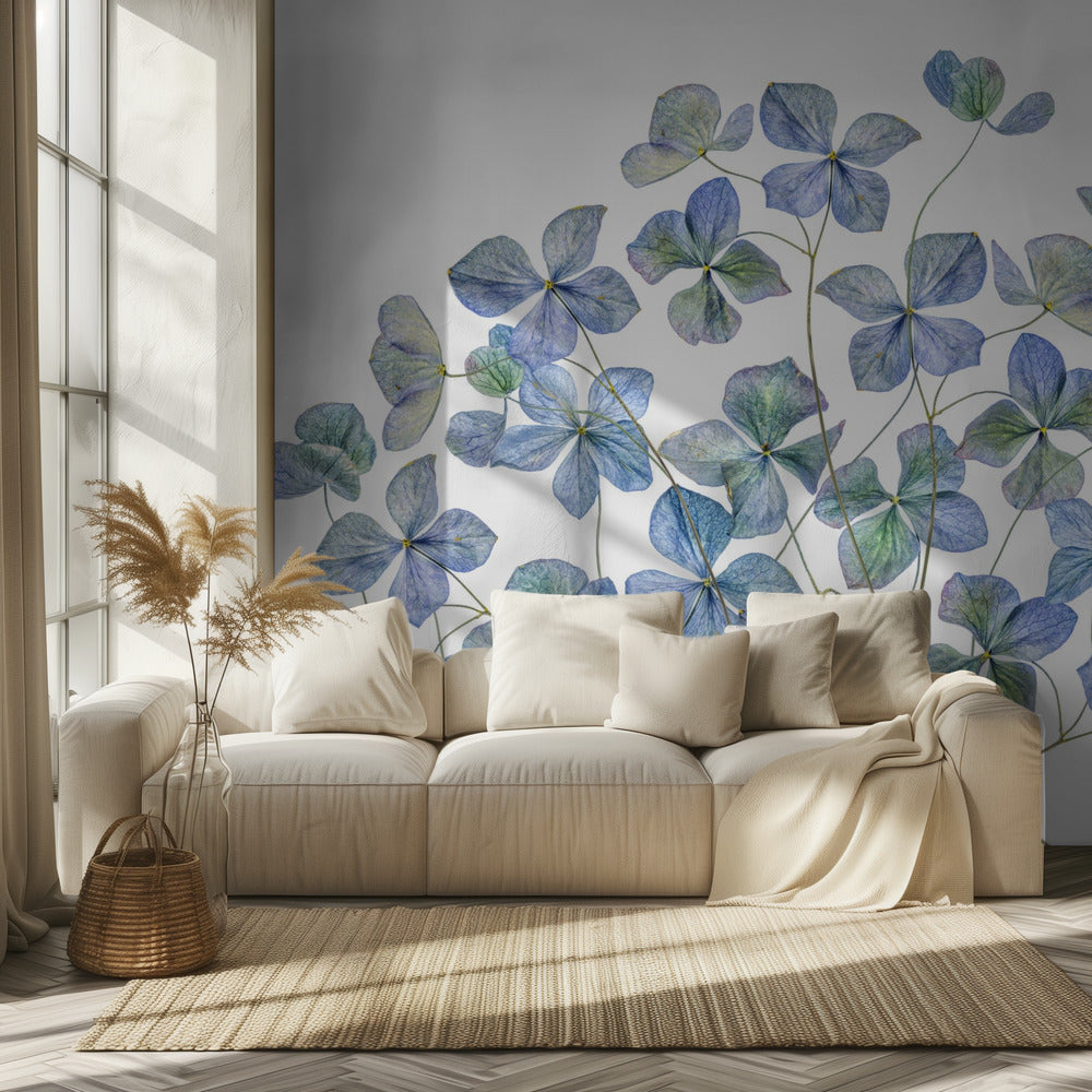 Hortensie | Tapete