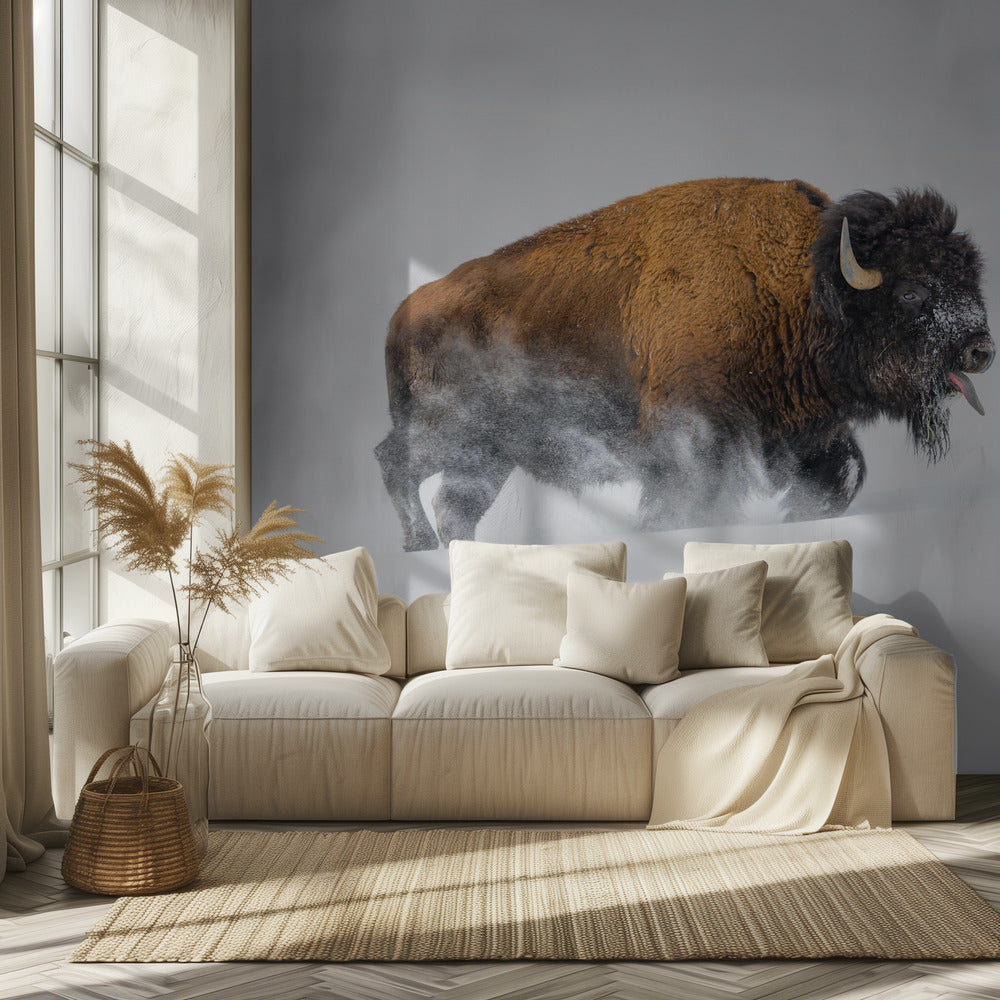 Bison im Schnee | Hintergrundbild