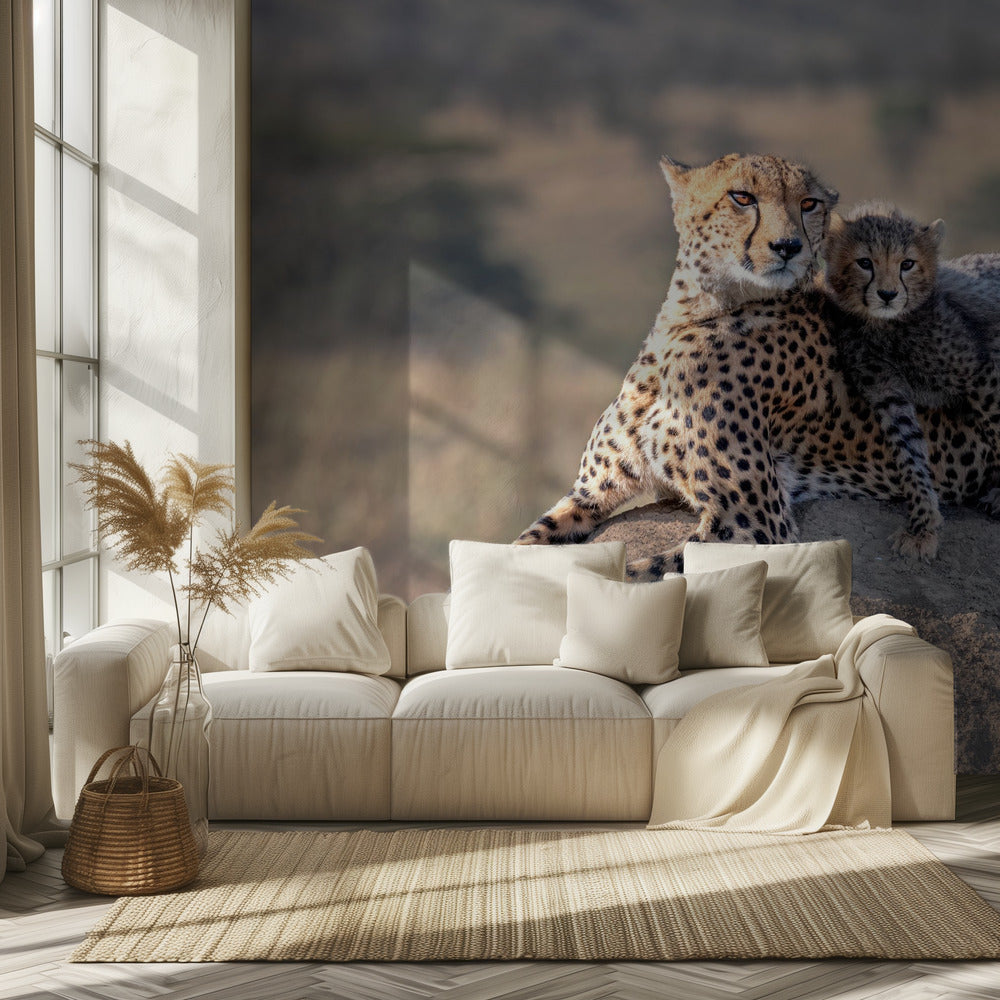 Gepard und Tasse! | Hintergrundbild