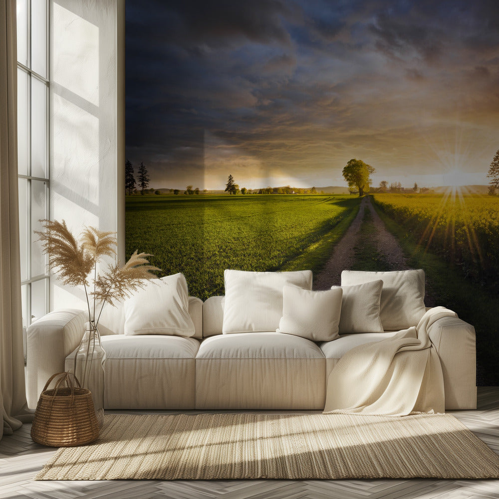 Sommerwiese | Tapete