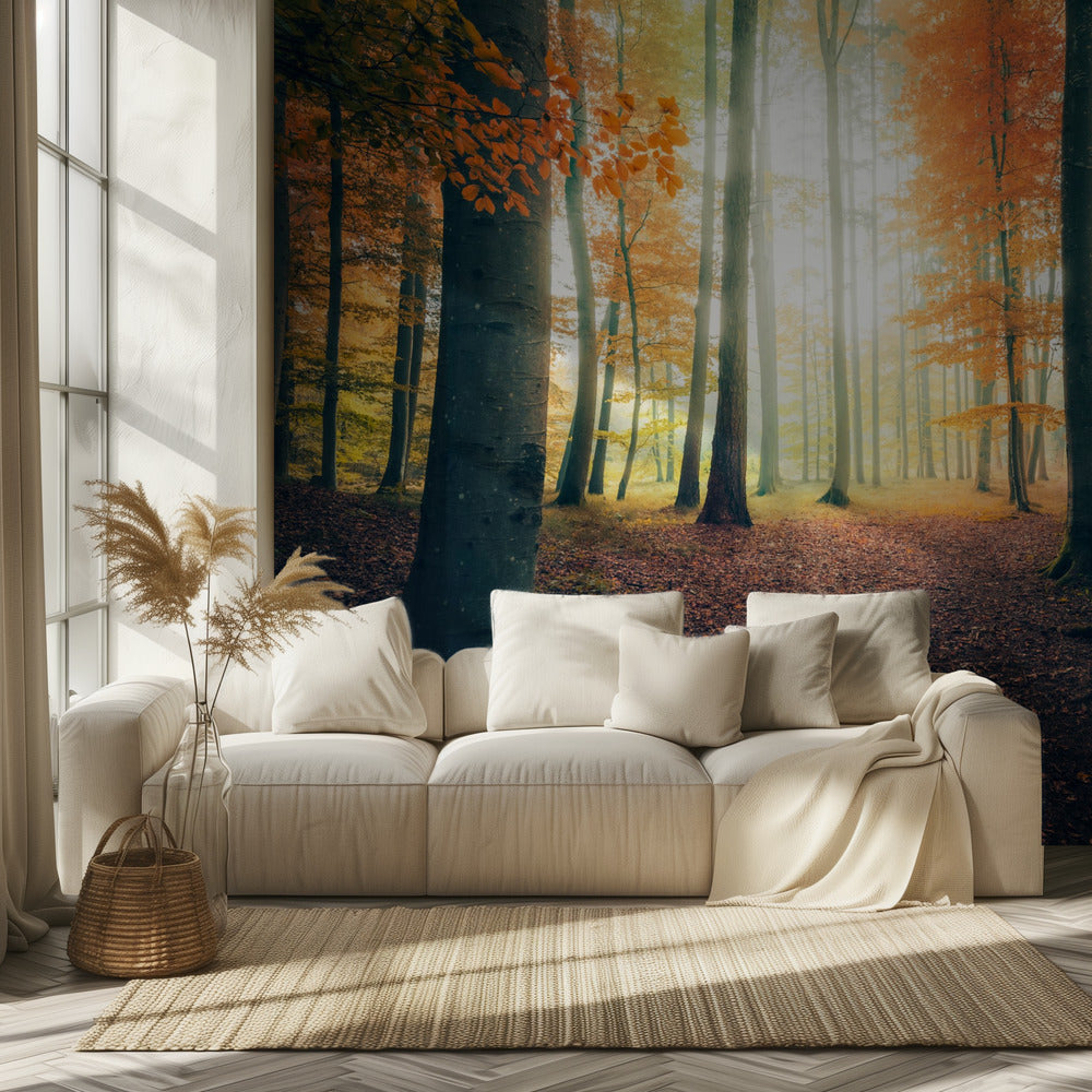Herbst im Wald | Hintergrundbild