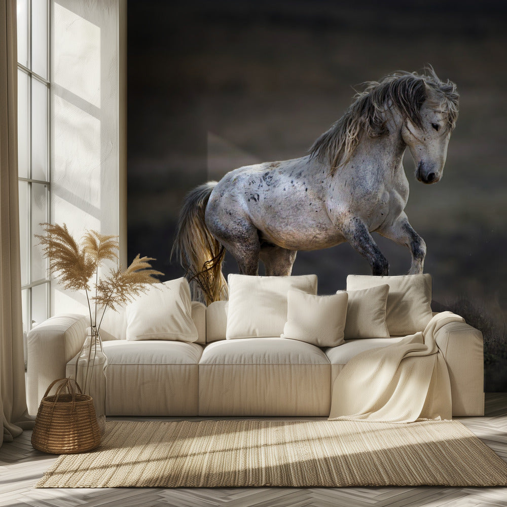 Mustang, Wildpferd / Equus ferus caballus | Tapete