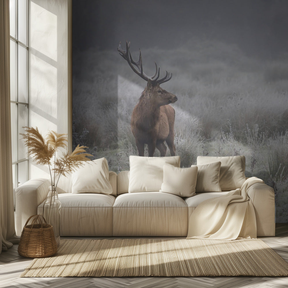Stolz. Hirsch. | Hintergrundbild