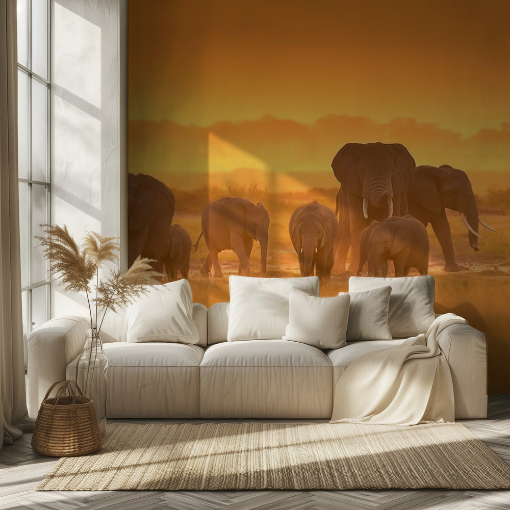 Goldenes Licht | Tapete