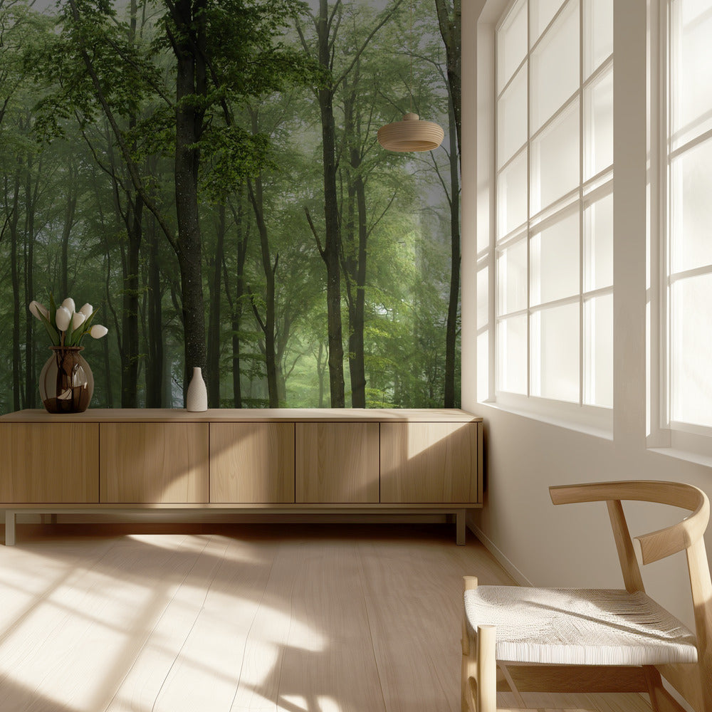 Wald... | Tapete