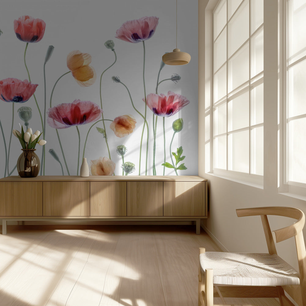 Papaver-Party | Tapete
