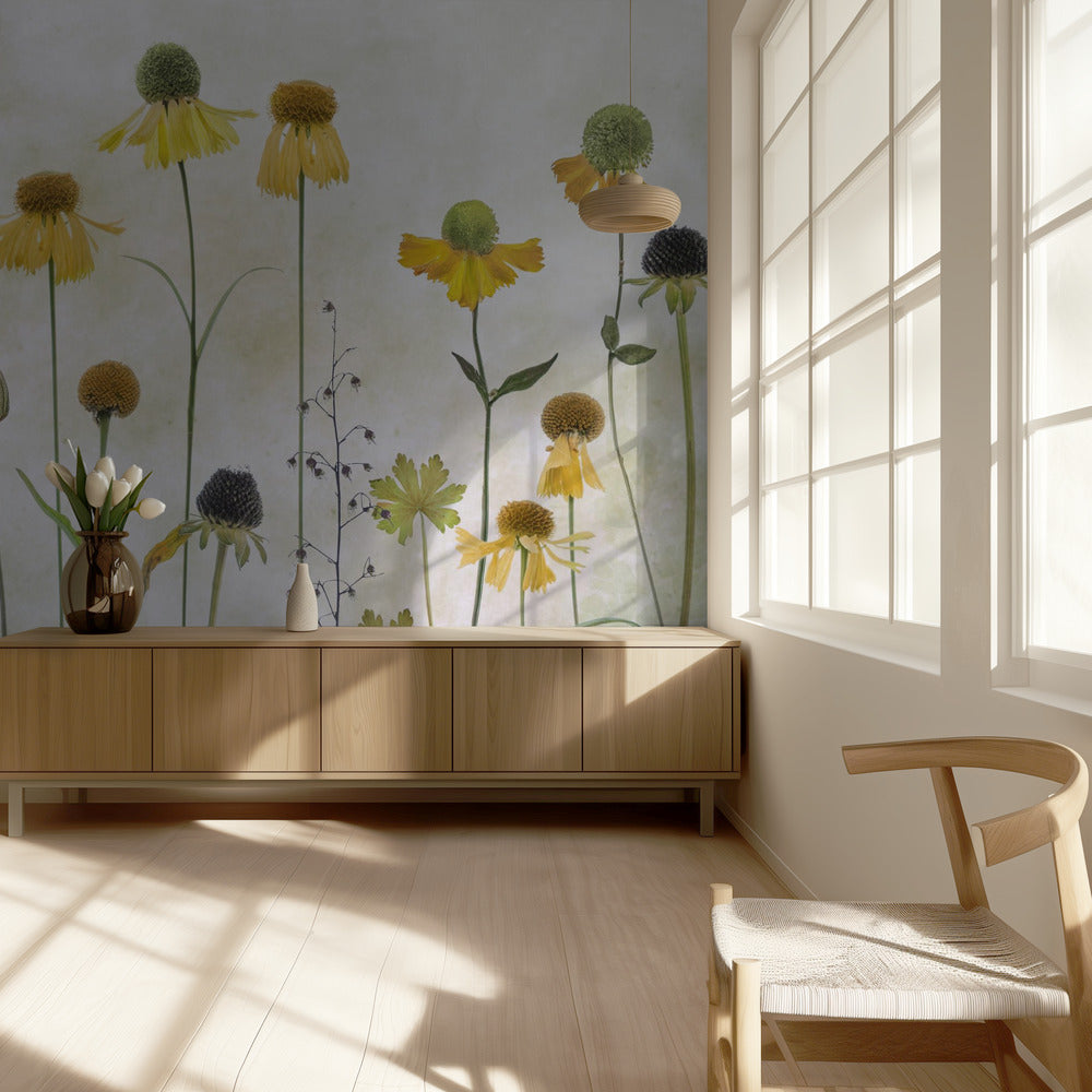 Helenium | Tapete