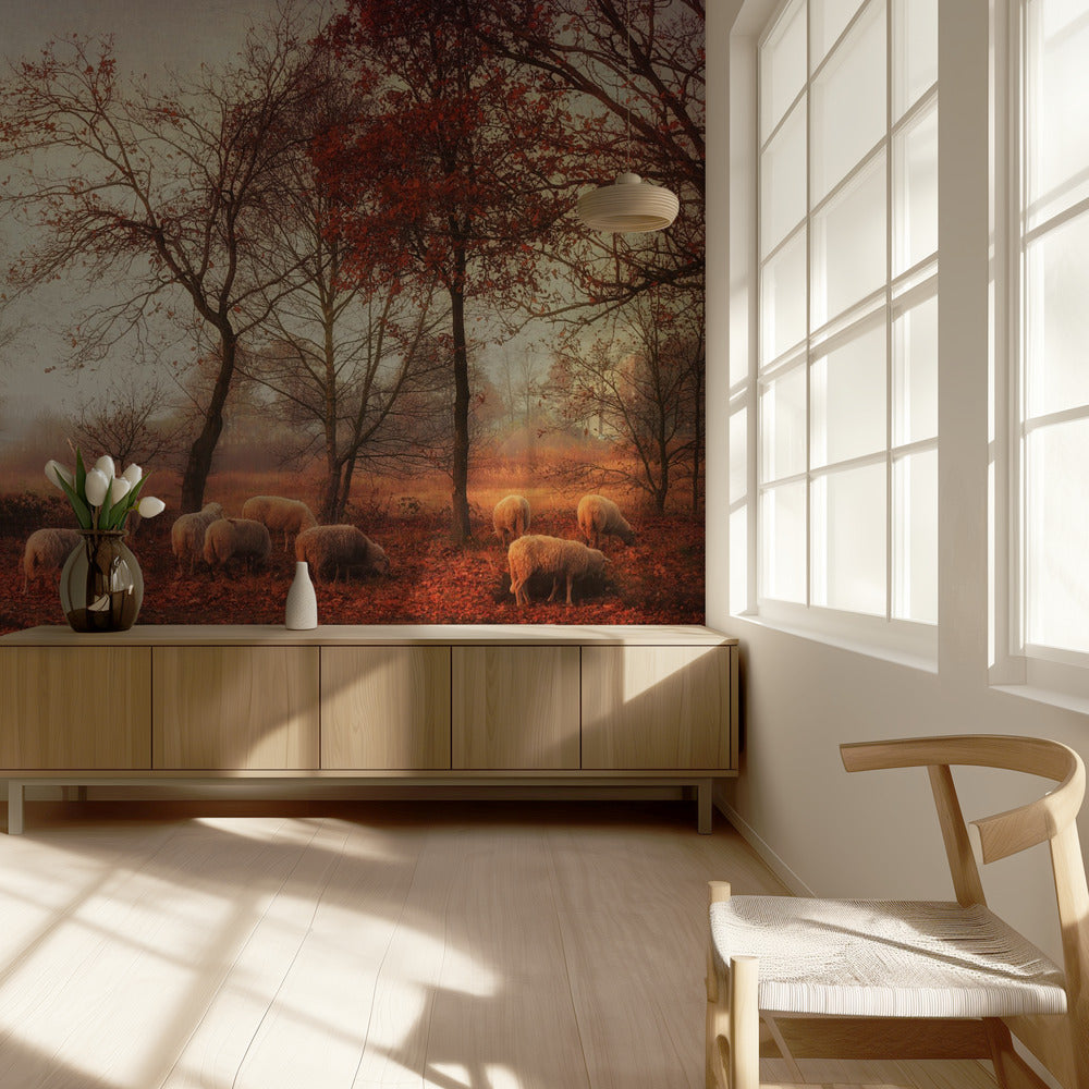 Letzte Herbsttage | Hintergrundbild