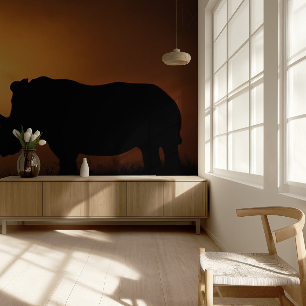 Nashorn Sonnenaufgang | Tapete