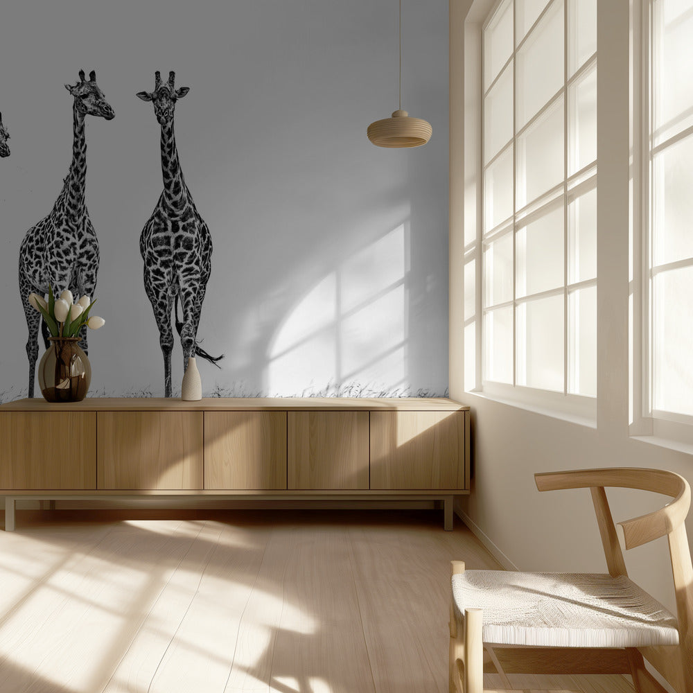 Giraffen in der Mara-Ebene | Hintergrundbild