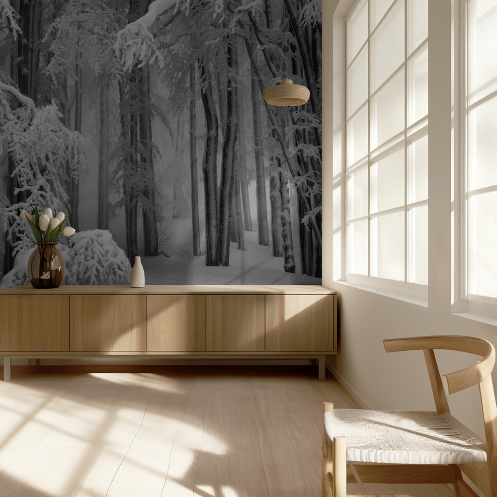 Perfekter Winter | Hintergrundbild