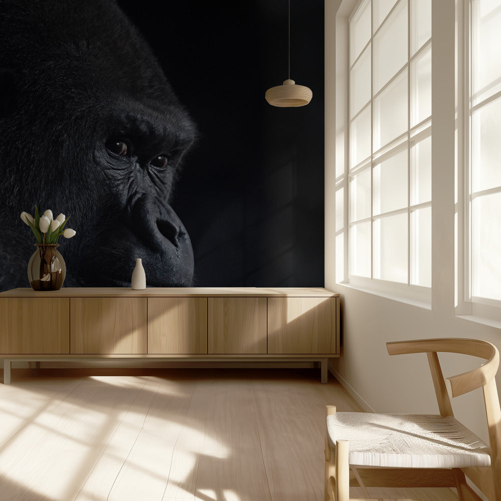Gorillablick | Tapete