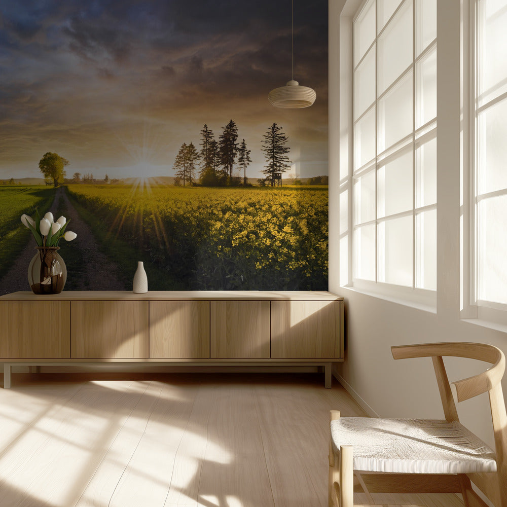 Sommerwiese | Tapete