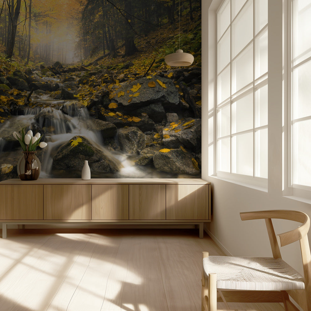 Herbst-Stream | Hintergrundbild