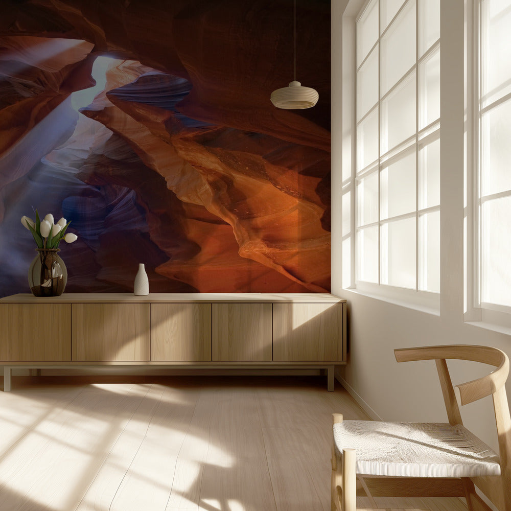 Pure Photodelight 2 | Hintergrundbild