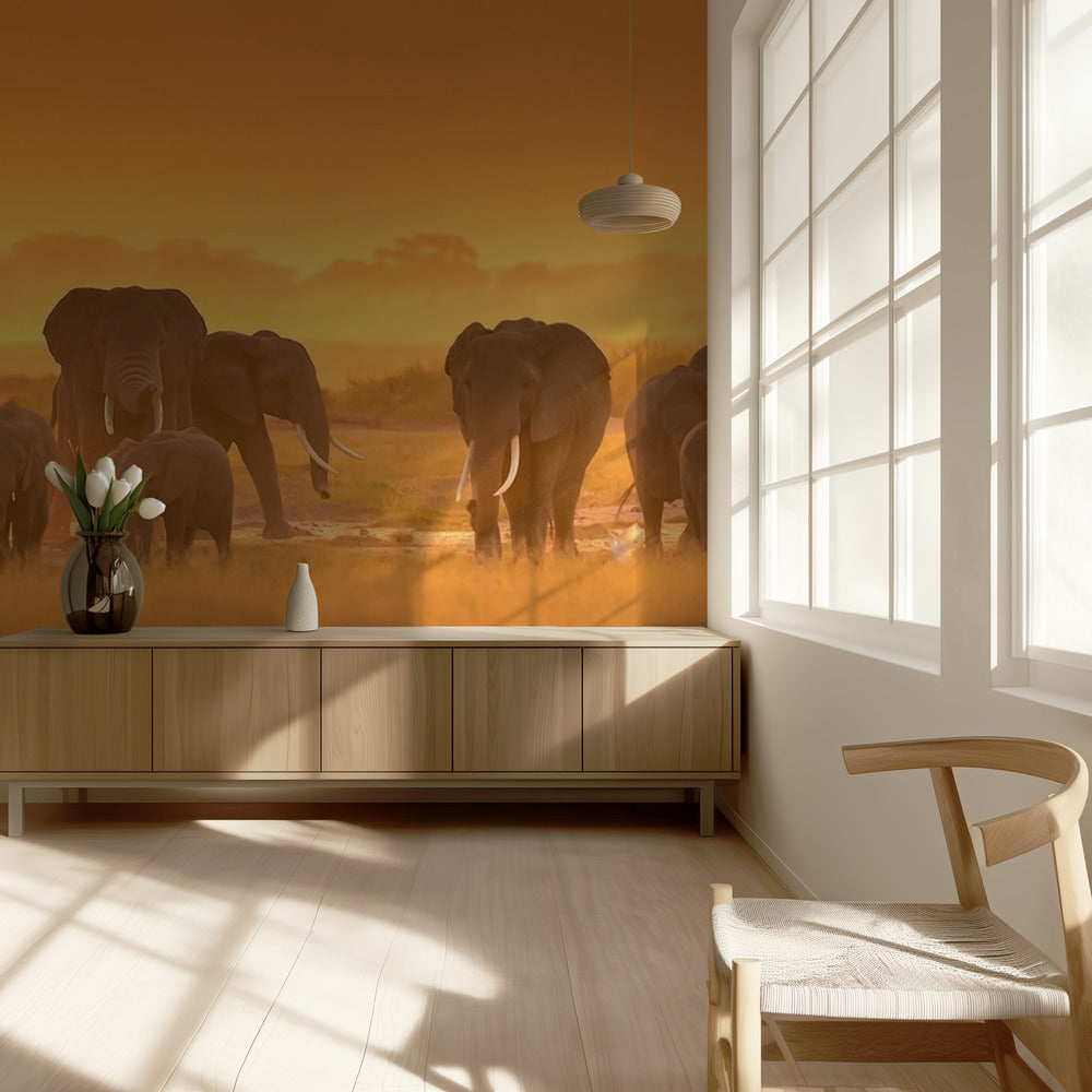 Goldenes Licht | Tapete