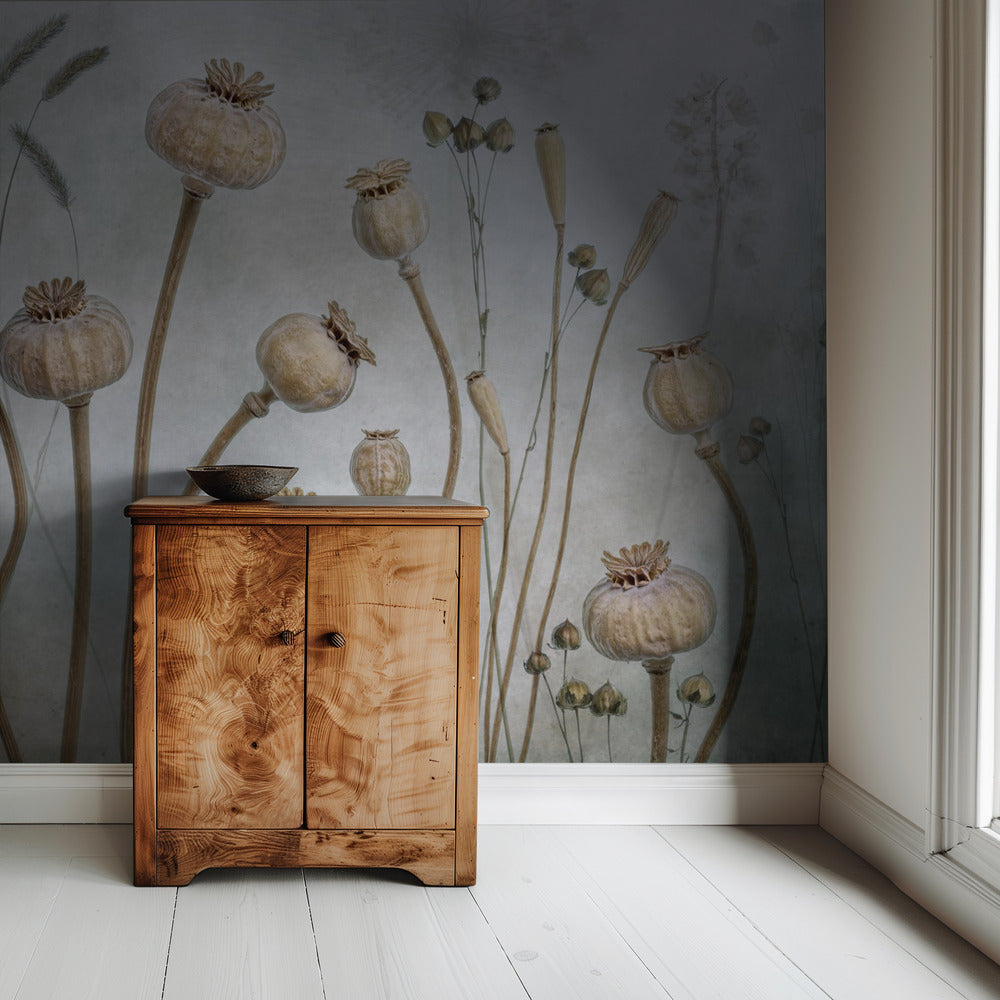 Papaver | Tapete