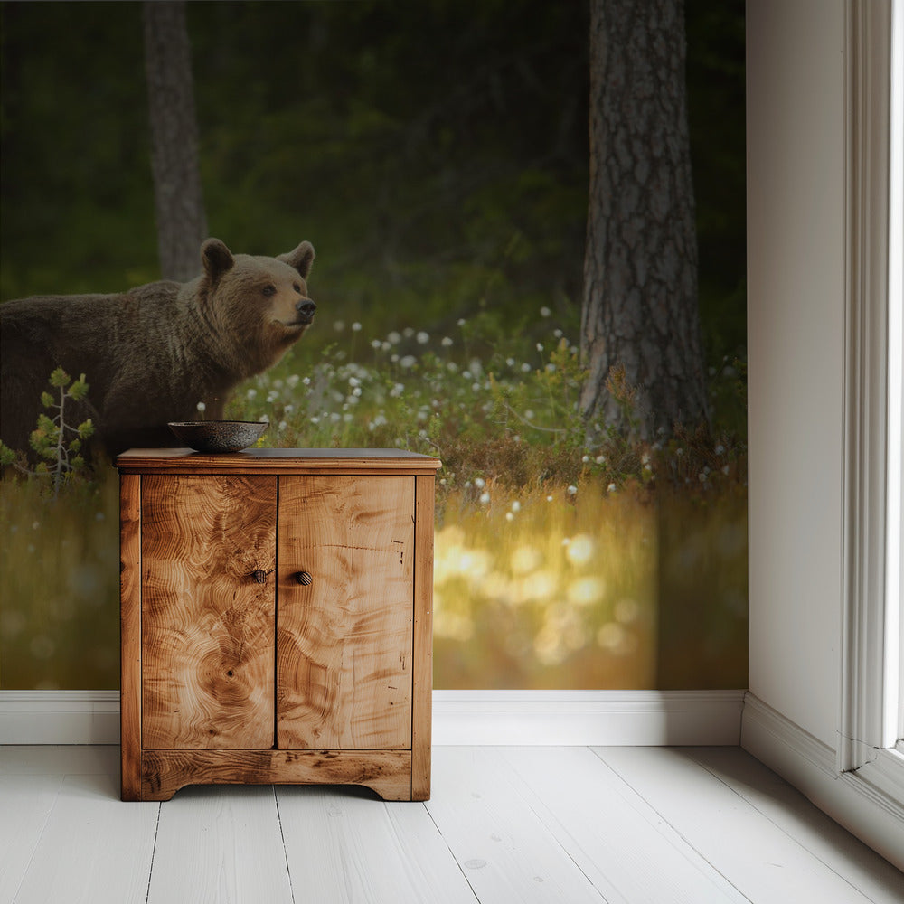 Braunbär | Tapete