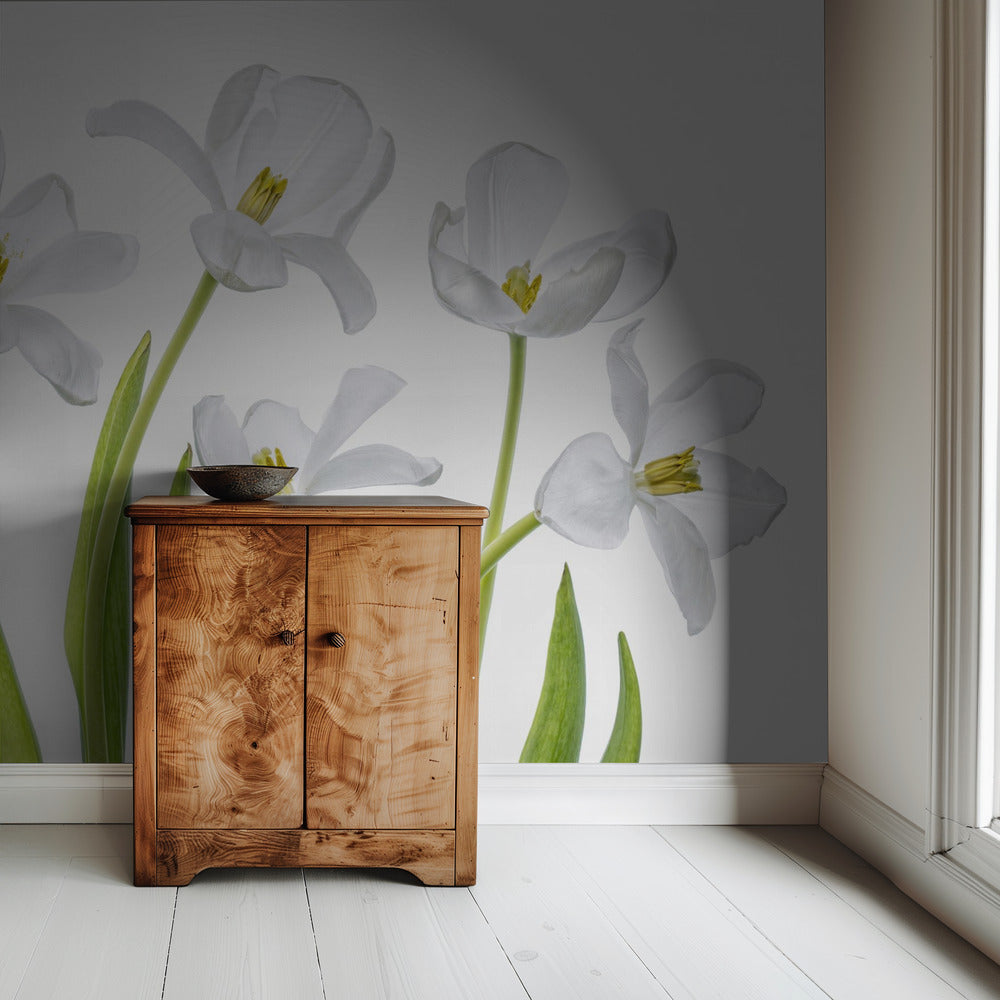 Weiße Tulpen | Tapete