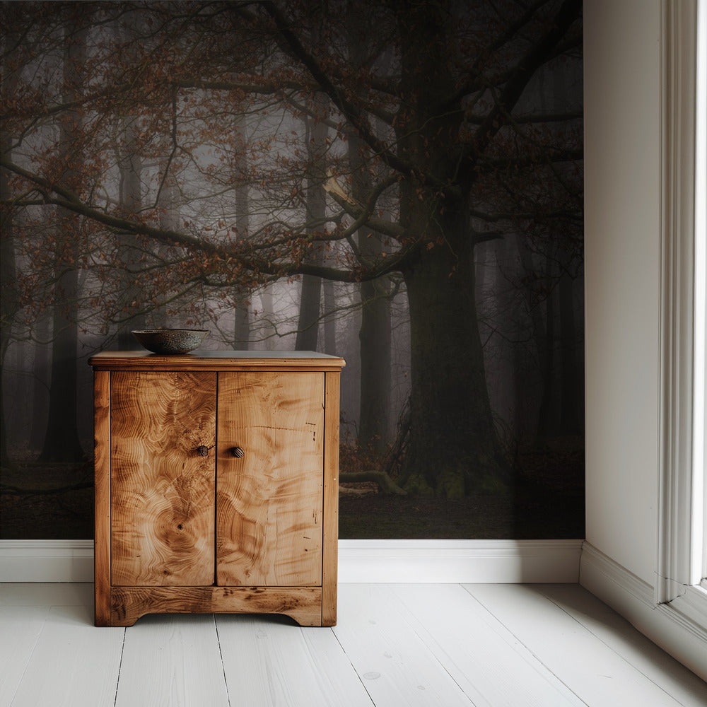 Foggy memory of the past | Wallpaper