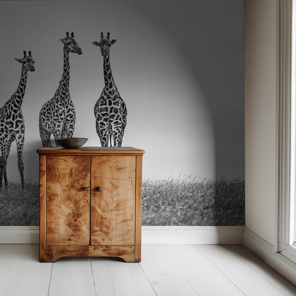Giraffen in der Mara-Ebene | Hintergrundbild