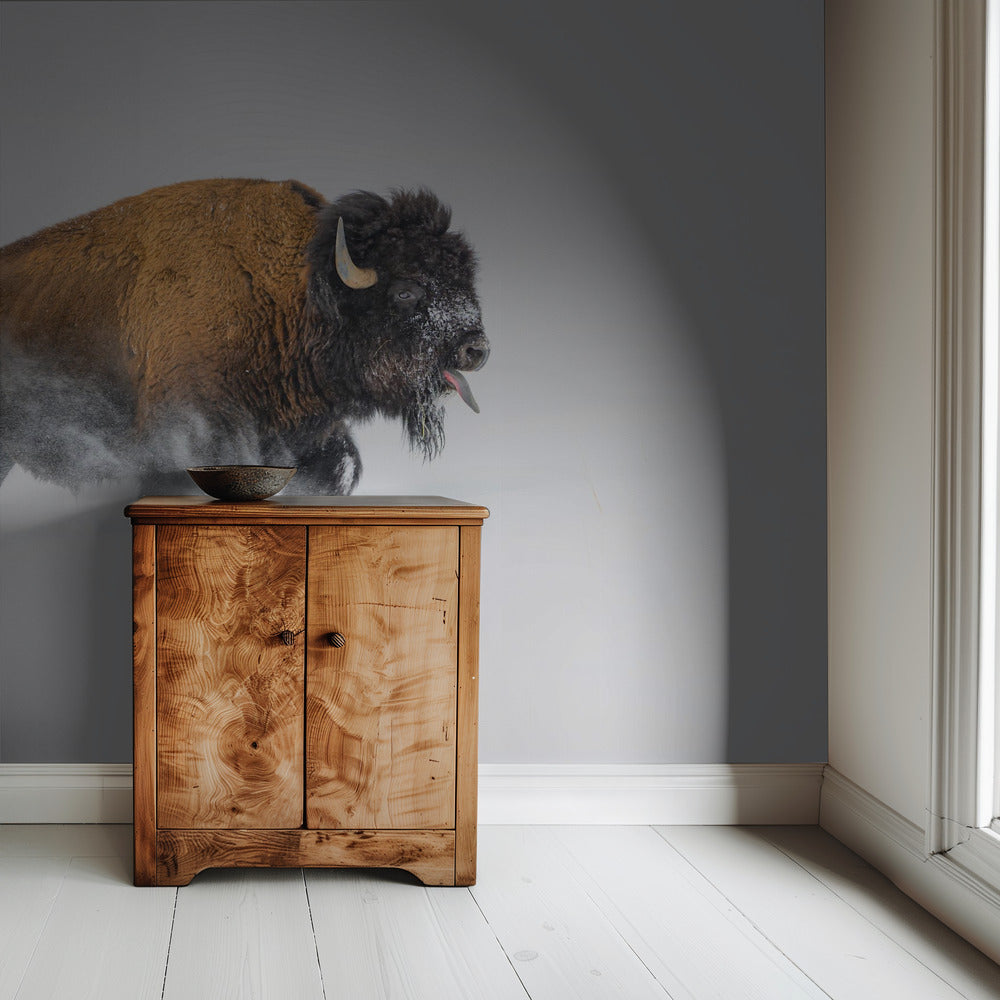 Bison im Schnee | Hintergrundbild