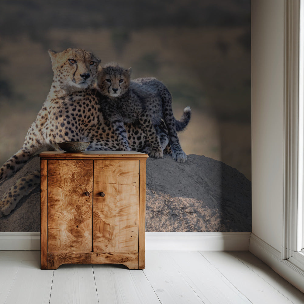 Gepard und Tasse! | Hintergrundbild