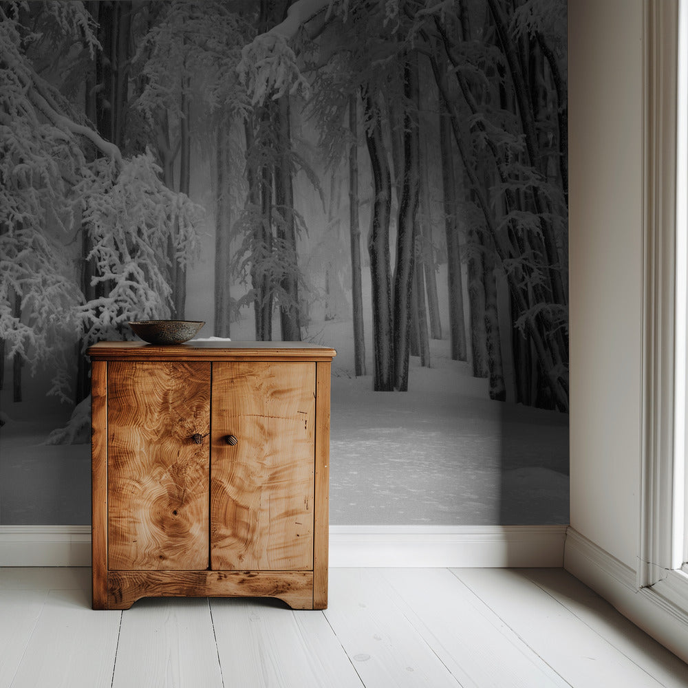 Perfekter Winter | Hintergrundbild