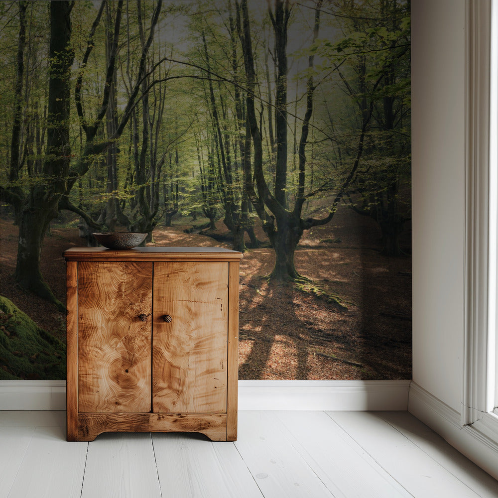Waldliebe | Tapete