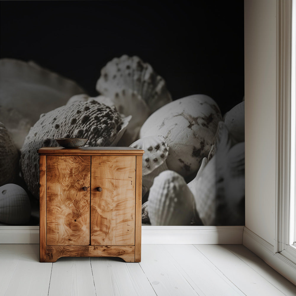 Muschelsymphonie | Tapete