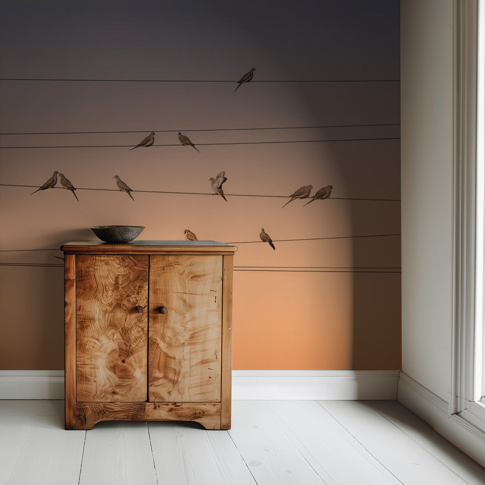 Musik des Lichts | Hintergrundbild