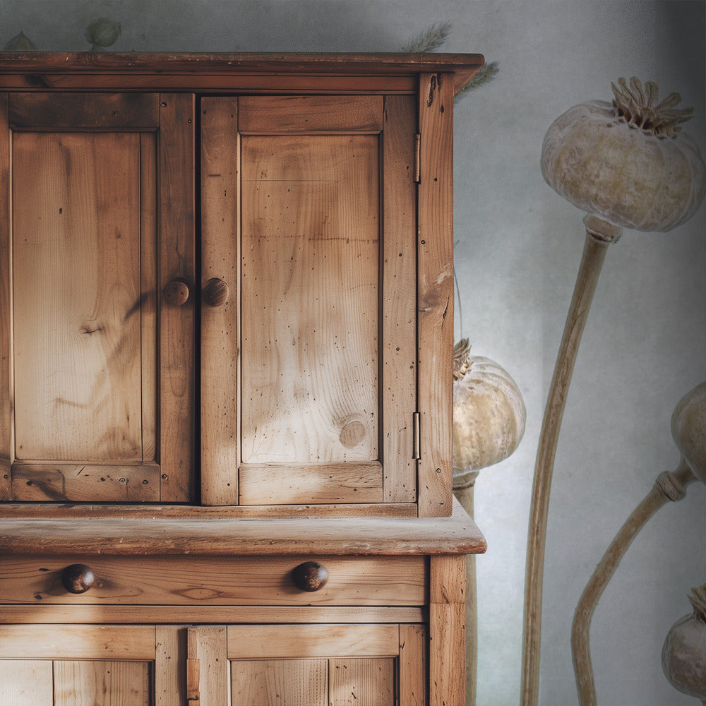 Papaver | Tapete