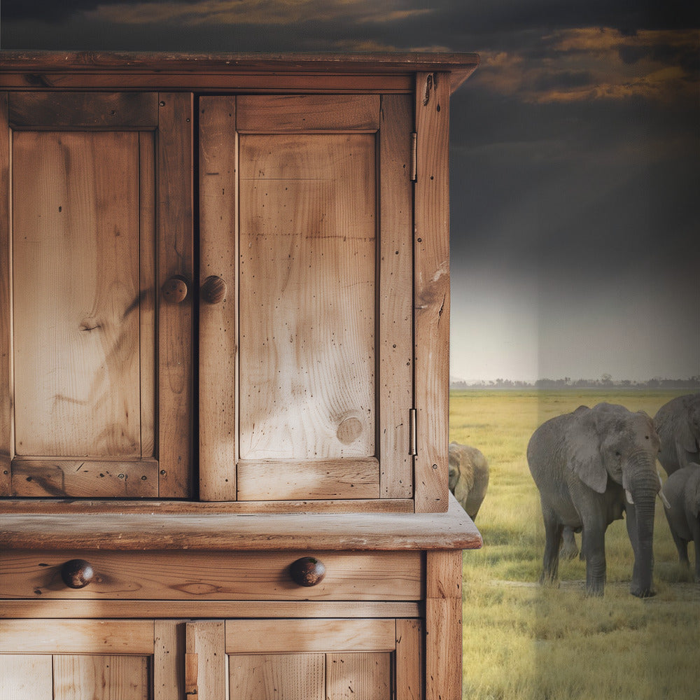 Aus Liebe zu Elefanten | Hintergrundbild