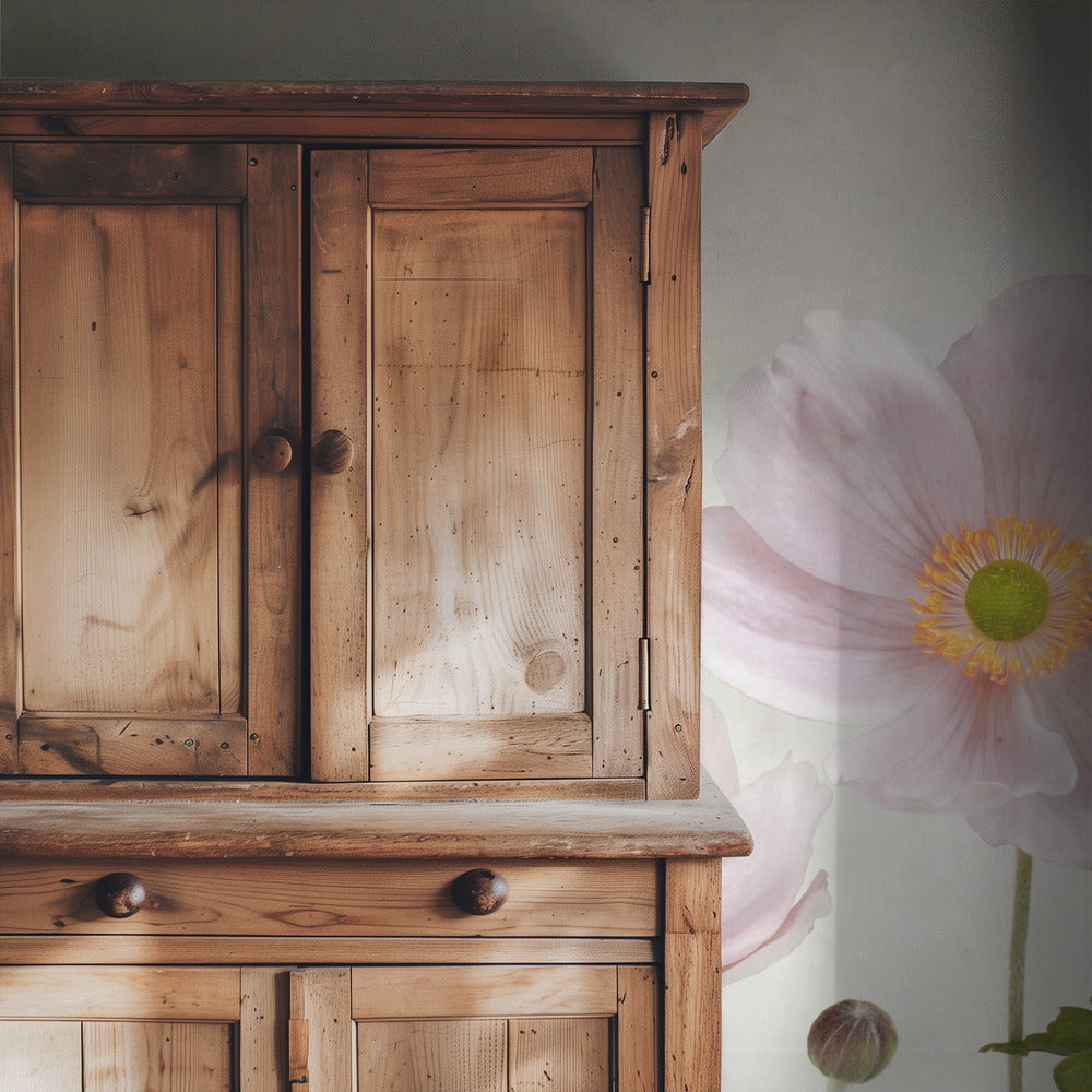 Anemonen | Tapete