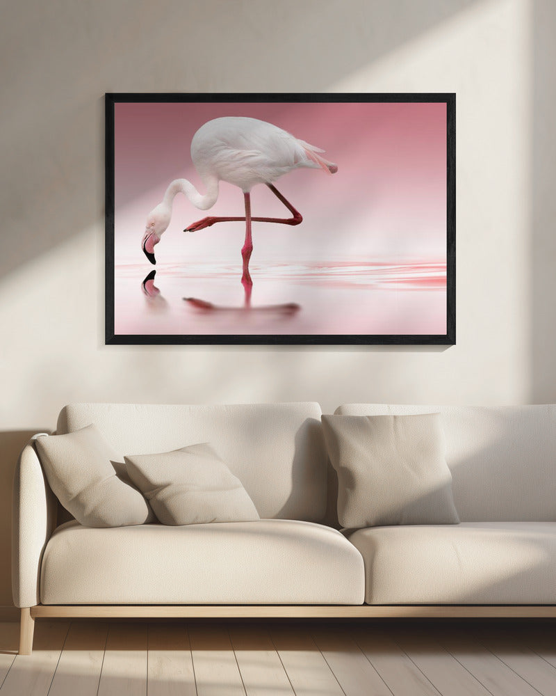 Flamingo | Leinwand