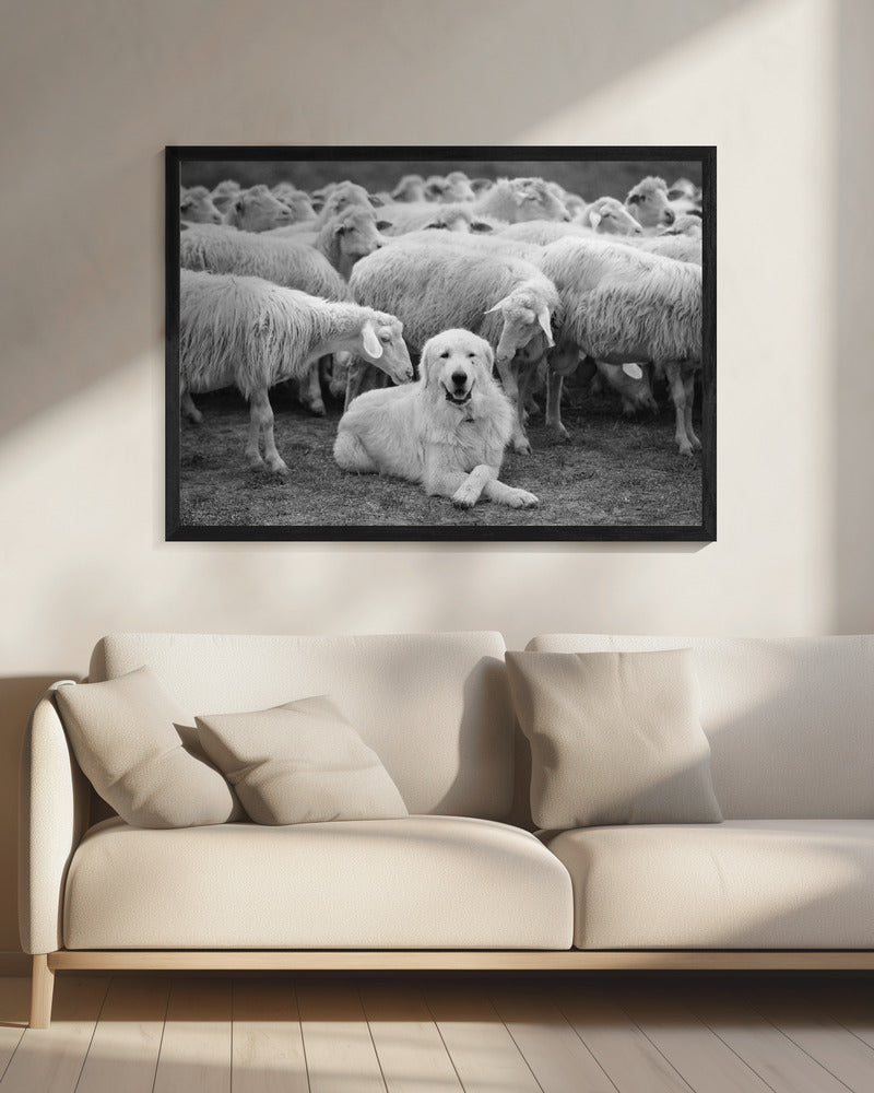 Der Boss | Leinwand
