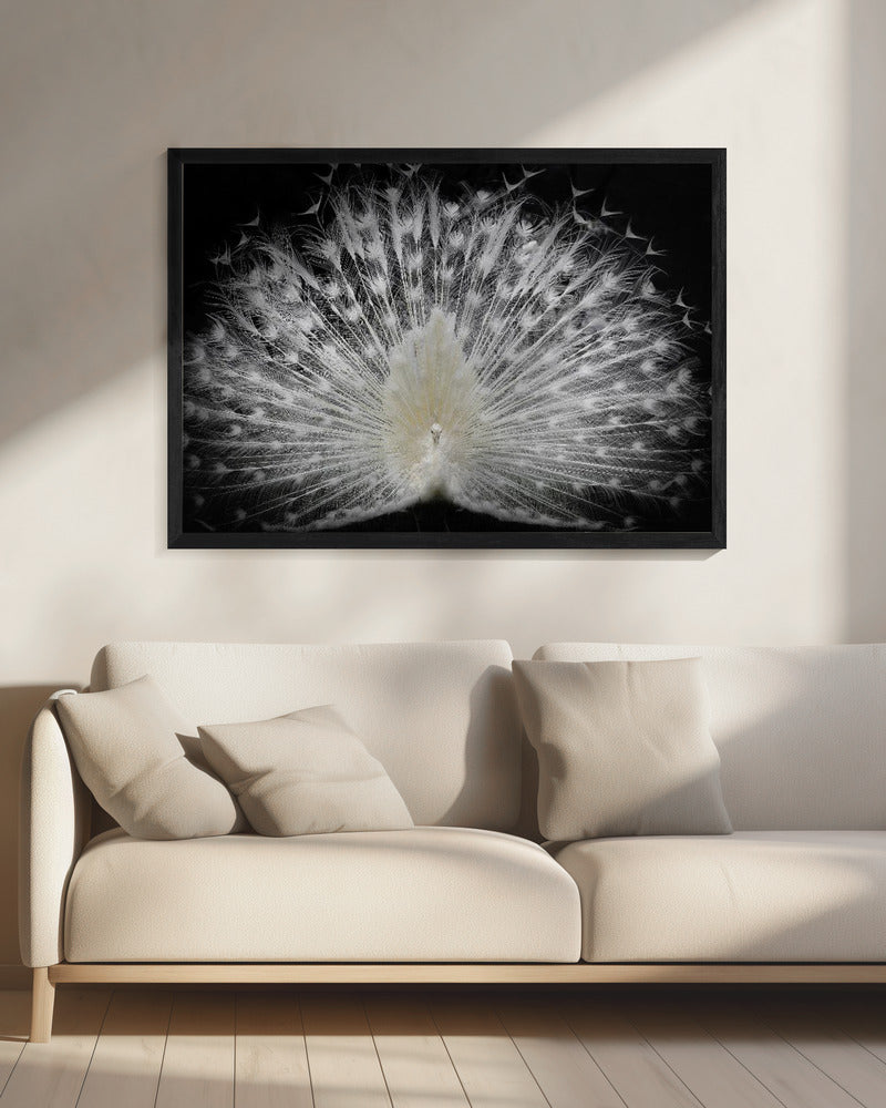 black and white, | Canvas